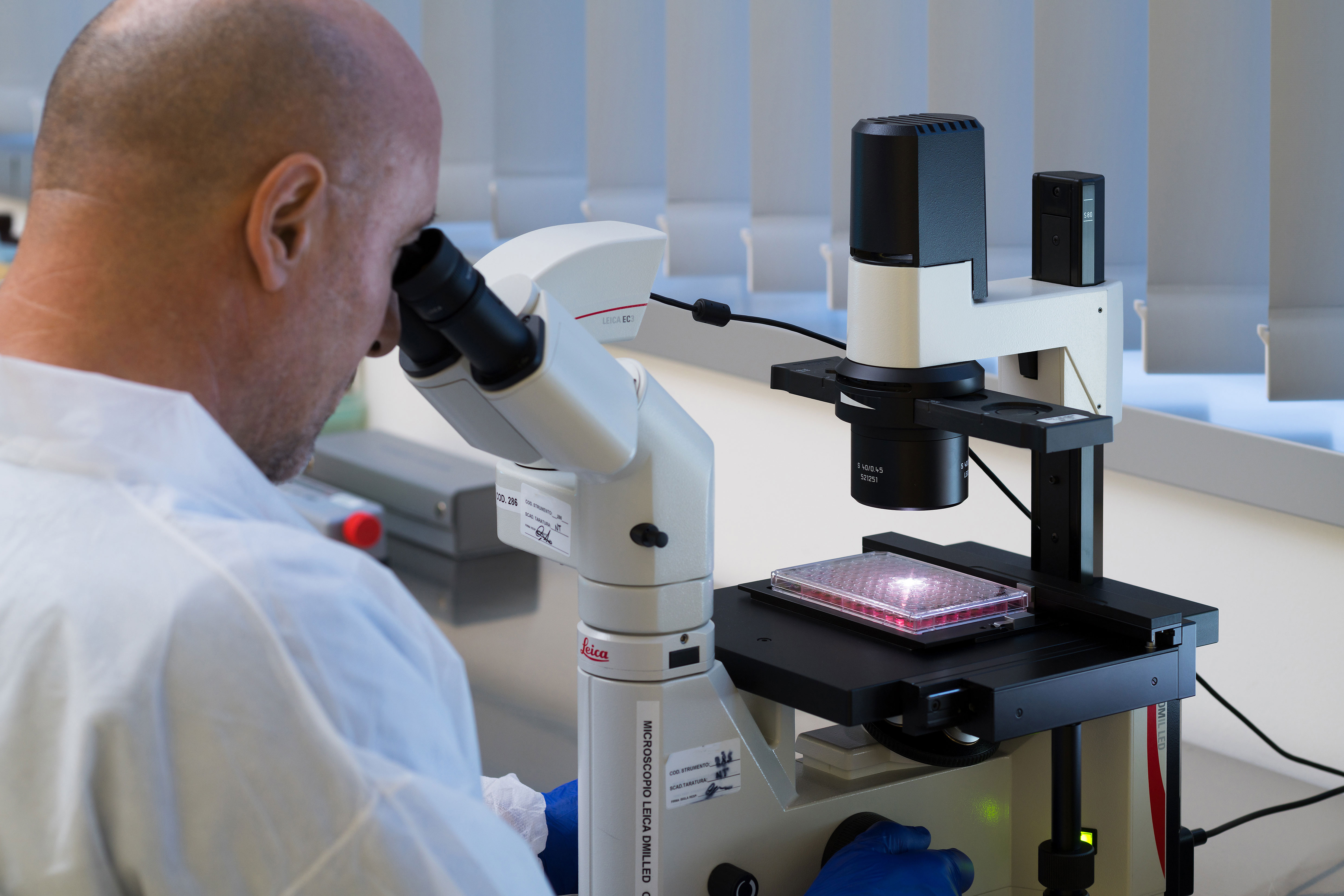 Alchi-lab